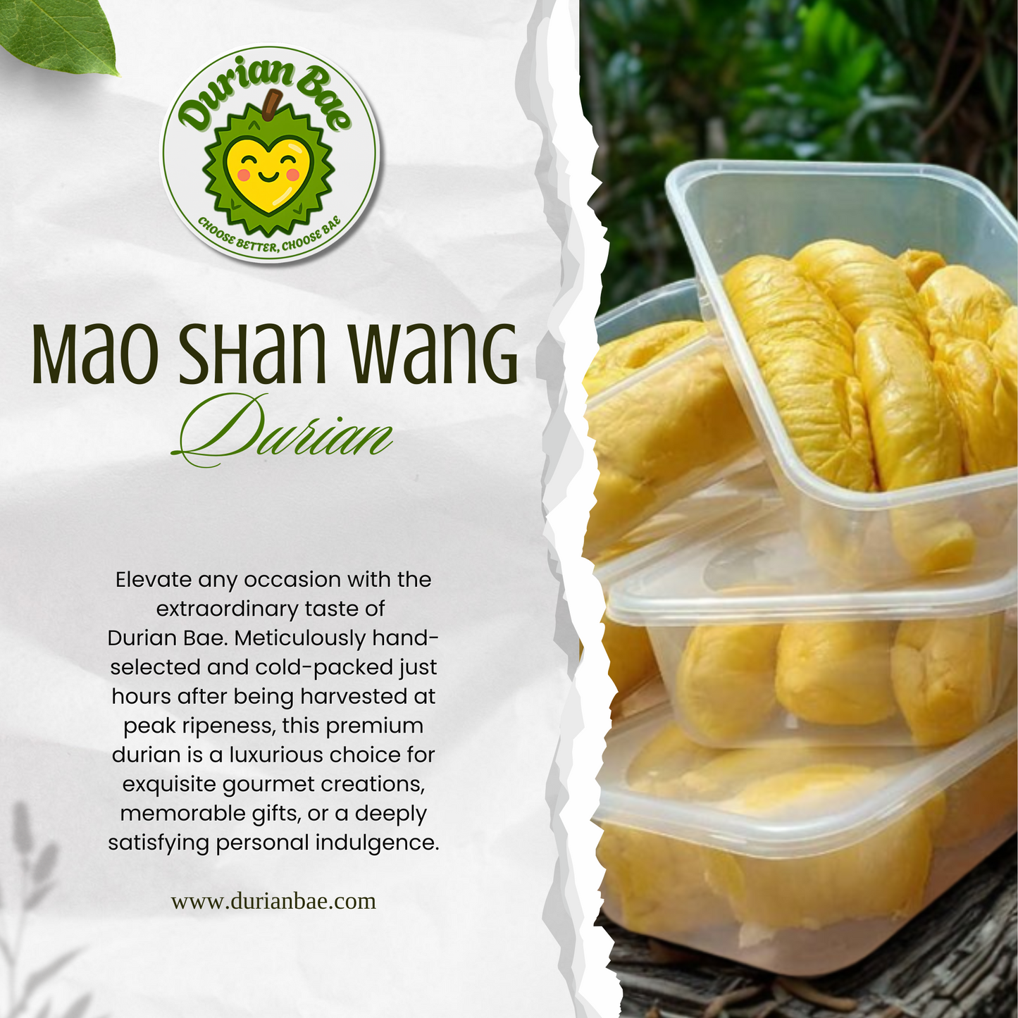 3 x Musang King Durian Freshly Dehusked 400g each Durian Bae Premium Quality Durian