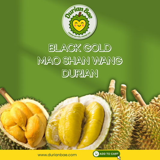1 x Blackgold Mao Shan Wang Durian Freshly Dehusked 400g Each Premium Quality Durian Bae