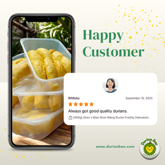 5Box 400g - Musang King Mao Shan Wang freshly dehusked Pahang Raub Malaysia - Durianbae