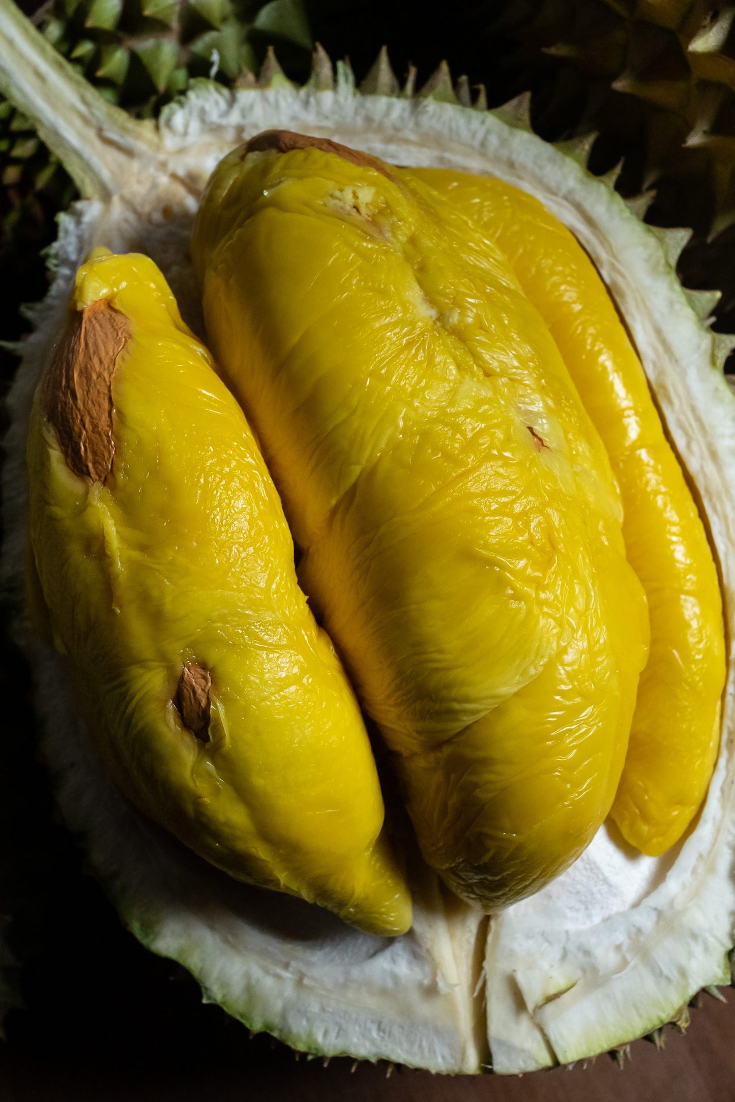 5box 400g - Blackgold musang king Durian freshly dehusked Pahang Raub Malaysia - Durianbae