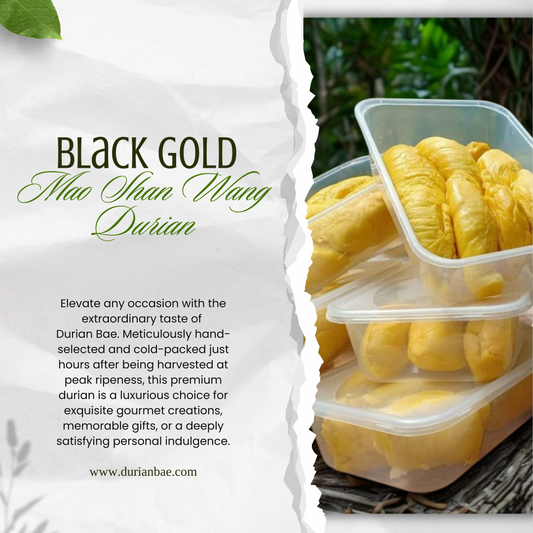 5box 400g - Blackgold musang king Durian freshly dehusked Pahang Raub Malaysia - Durianbae