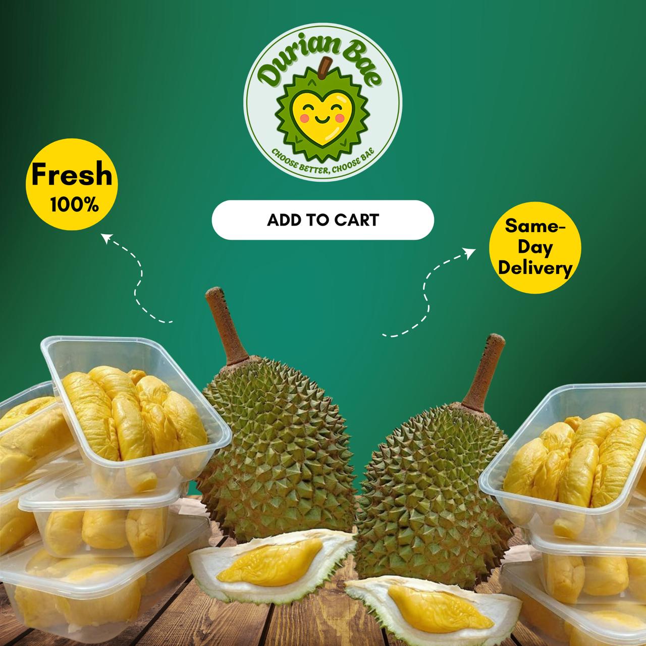 3 x Musang King Durian Freshly Dehusked 400g each Durian Bae Premium Quality Durian