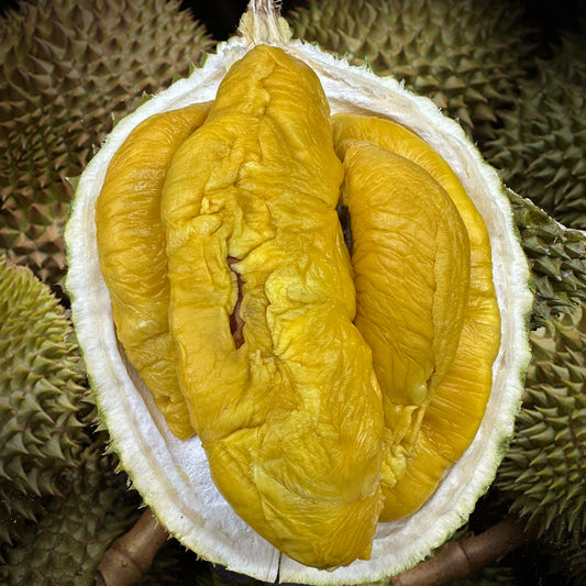 1 x Blackgold Mao Shan Wang Durian Freshly Dehusked 400g Each Premium Quality Durian Bae